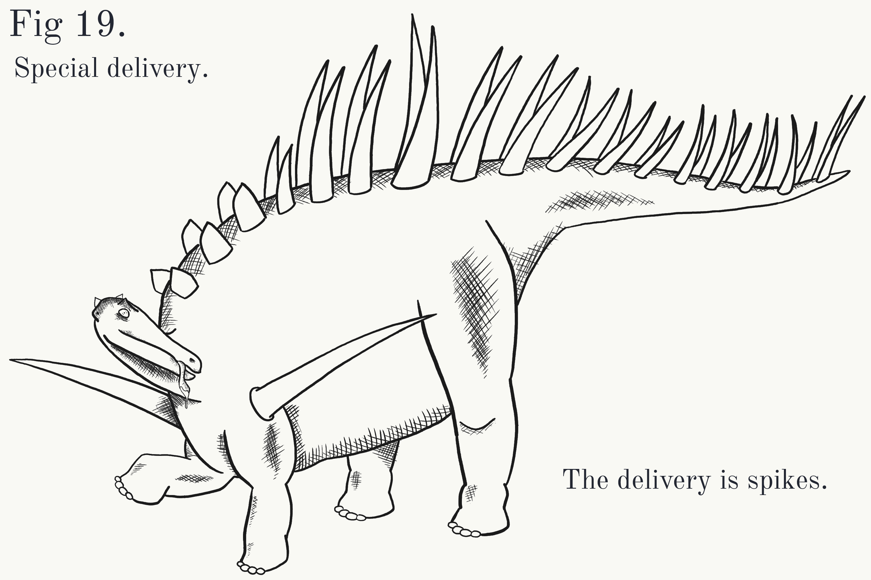 kentrosaurus art by William Moore